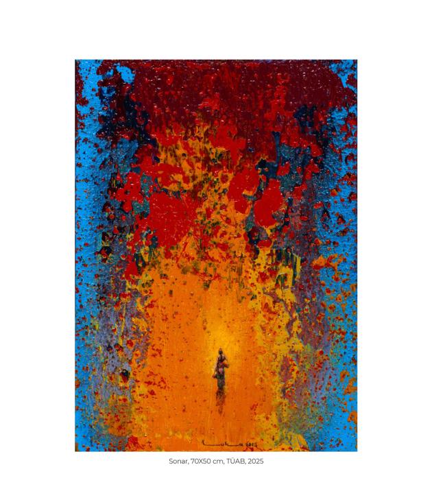 Sonar 70x50cm TÜAB 2025